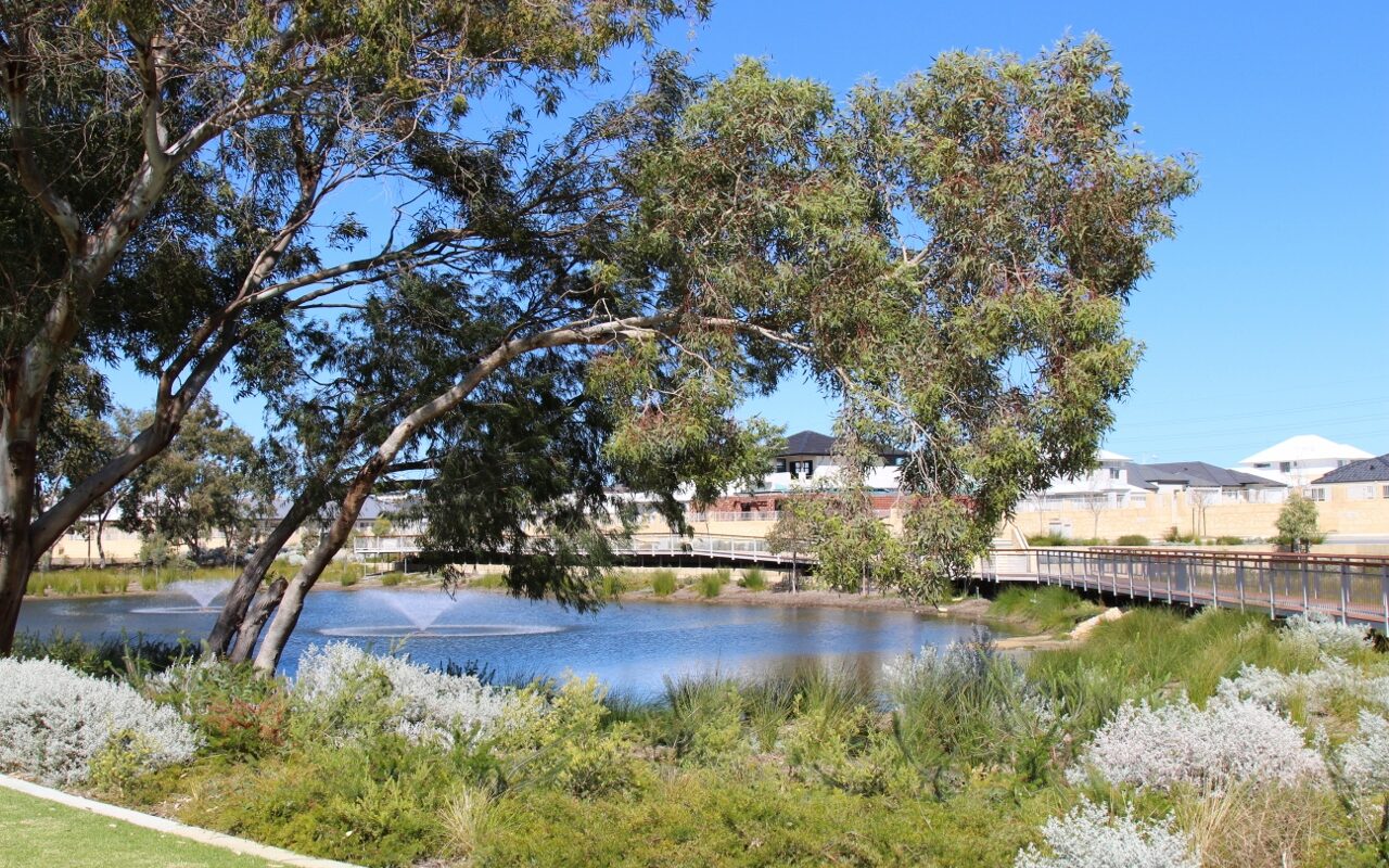 Eliza Ponds