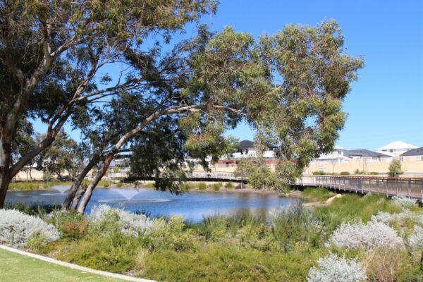 Eliza Ponds