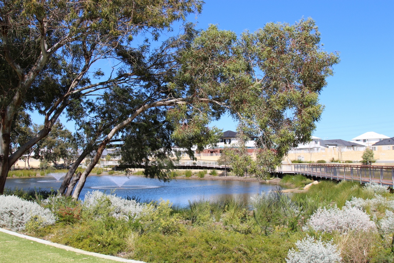 Eliza Ponds